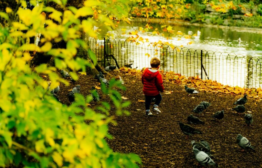 осінь для дітей прогулянка в парку