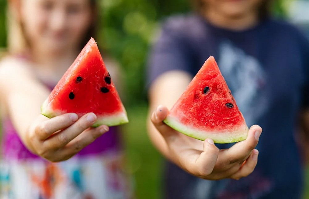 Літні рослини для дітей: кавун